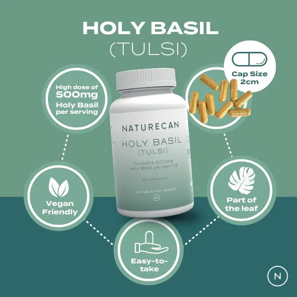 Holy basil benefits