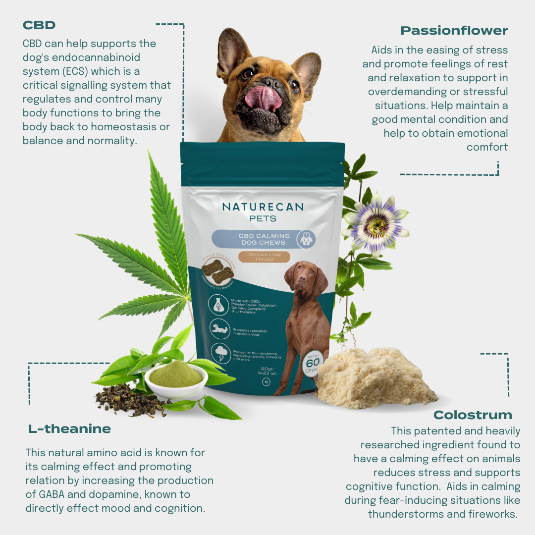 CBD Calming Chews Ingredients