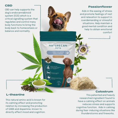 CBD Dog Treats for Calm