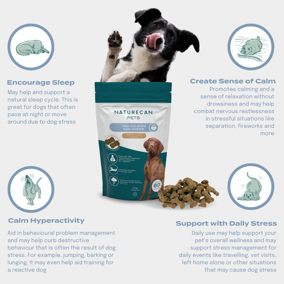 CBD Calming Dog Treats Naturecan NZ