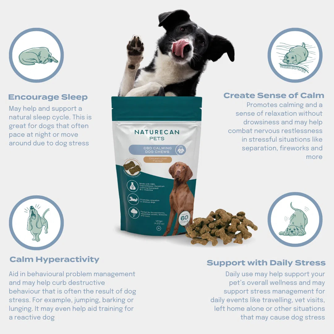 CBD Dog Treats for Calm