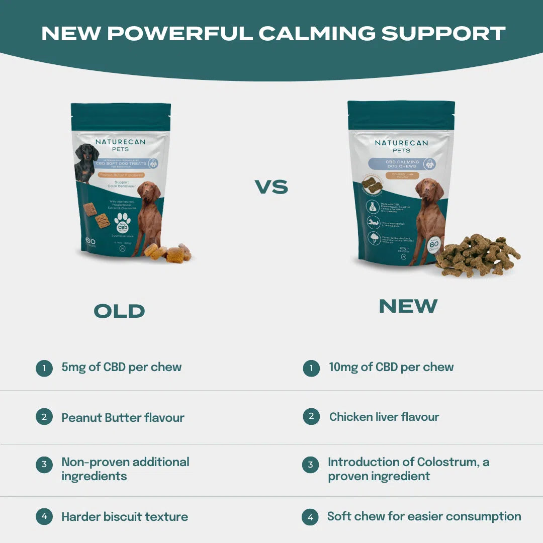 CBD Dog Treats for Calm