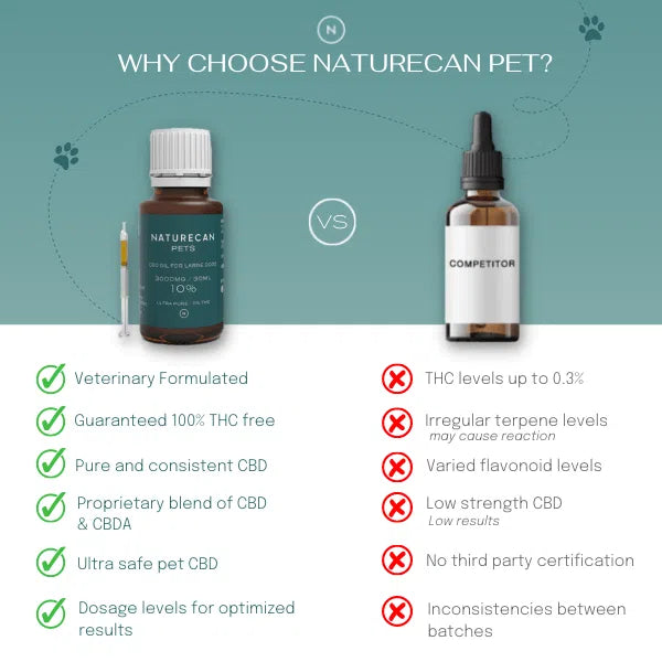 CBD Oil for Dogs