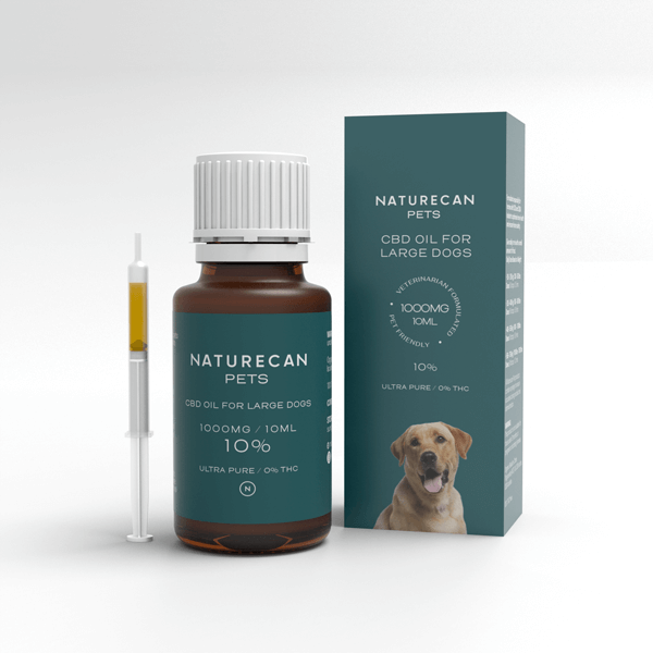 CBD Oil for Dogs