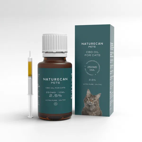 CBD Oil for Cats