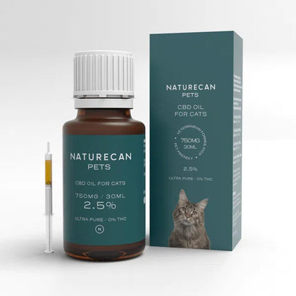 CBD Oil for Cats