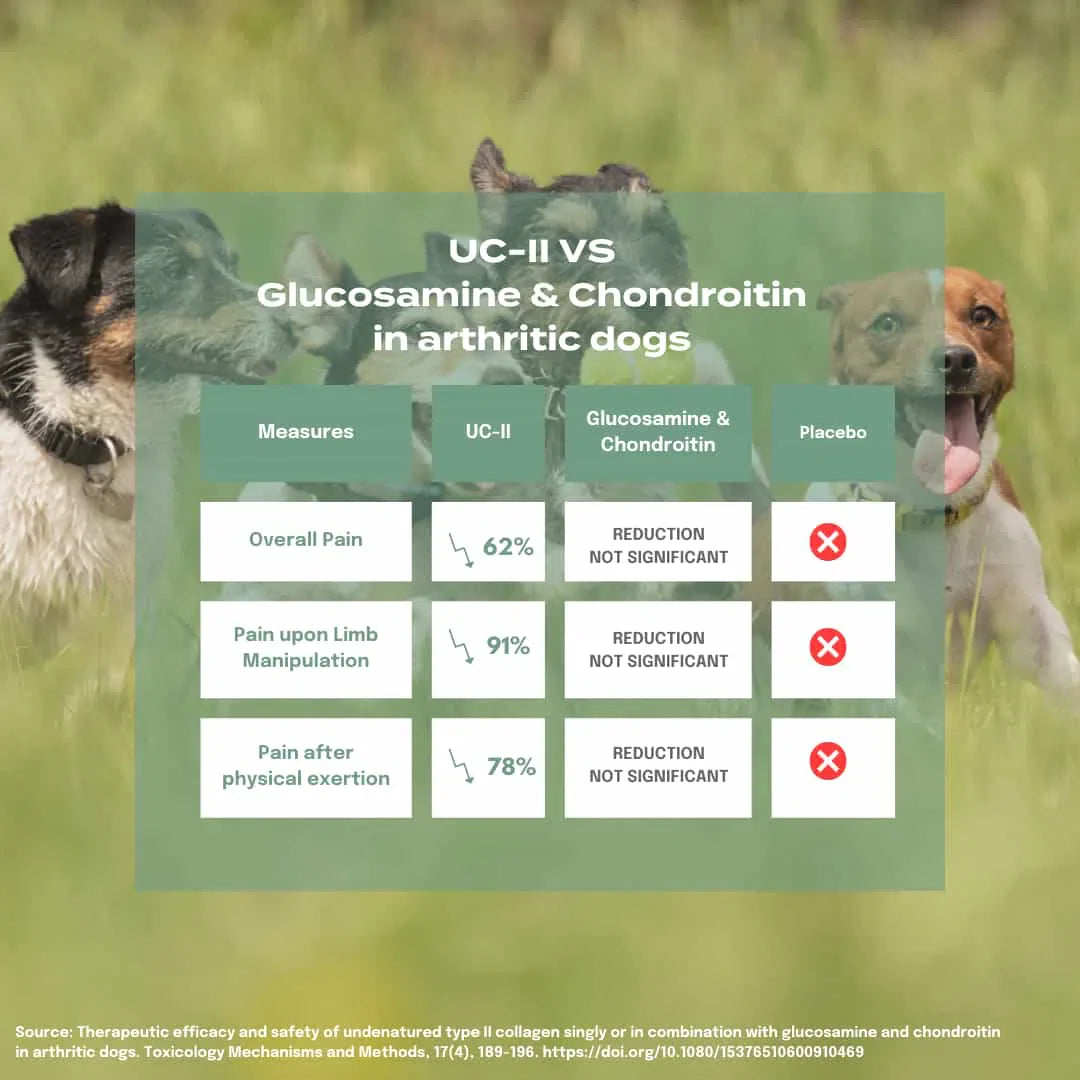 UC-II® Joint Care Oil for Dogs