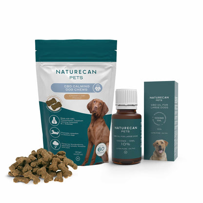 Dog Calming Behaviour Bundle