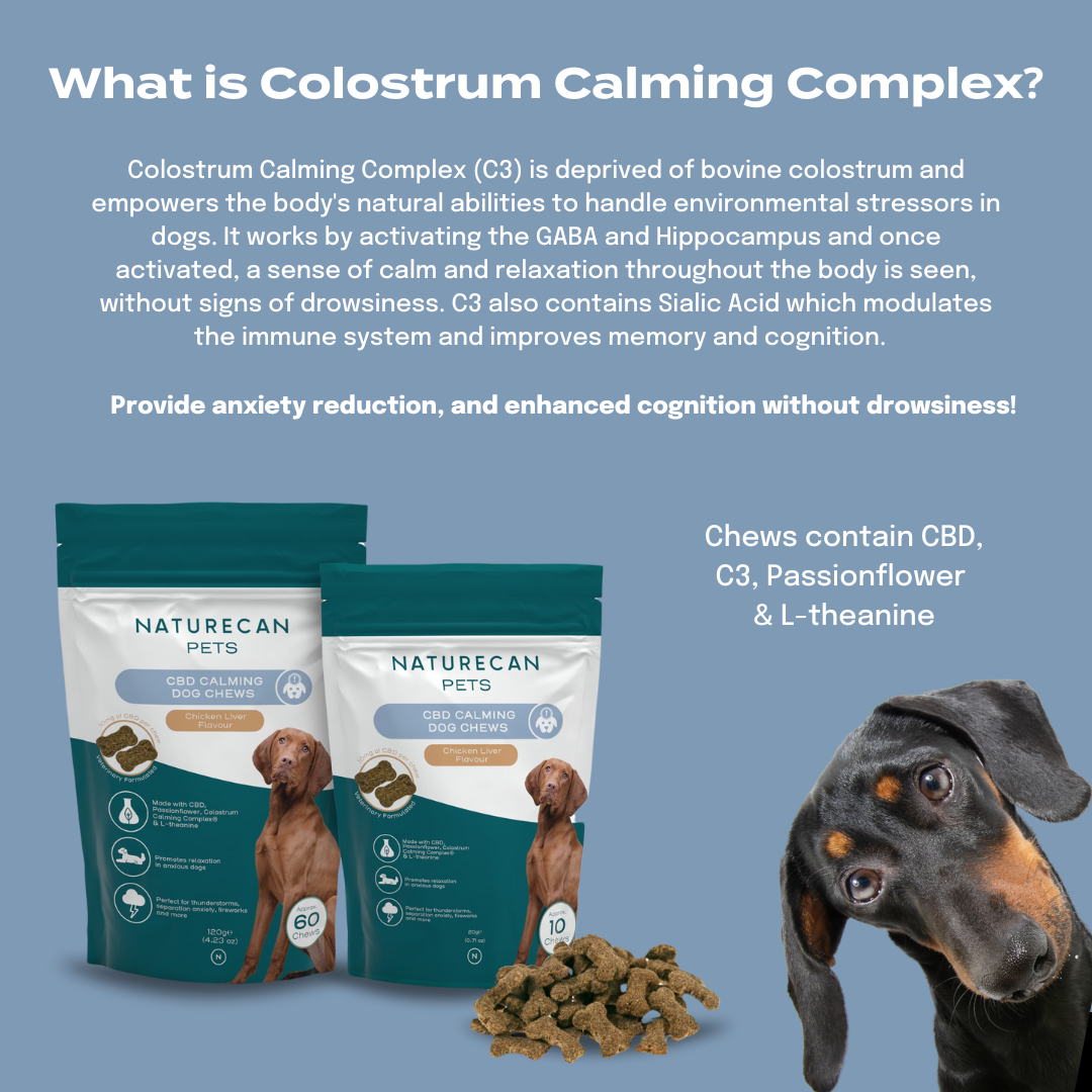 CBD Calming Dog Treats Naturecan NZ