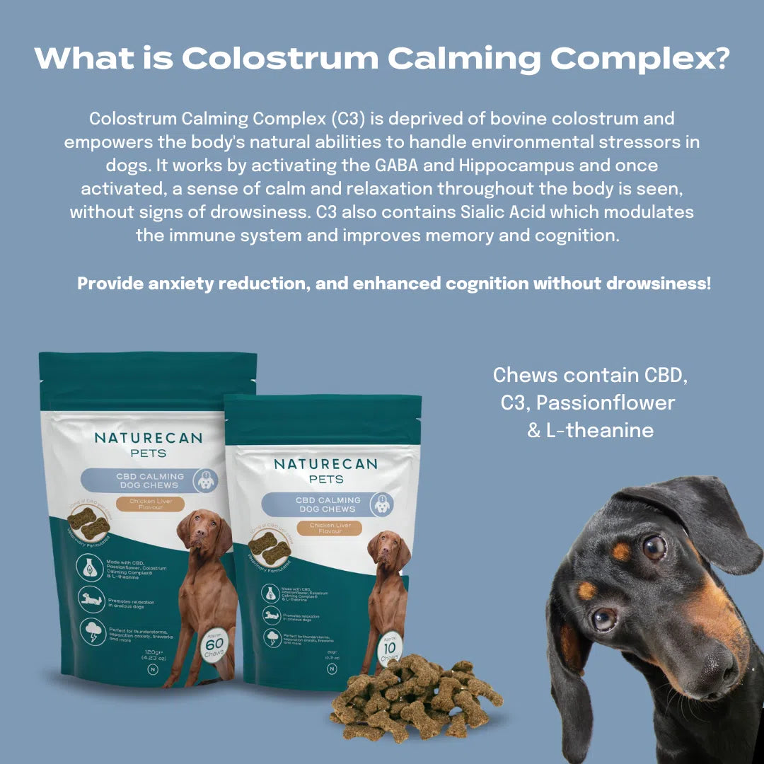 CBD Dog Treats for Calm