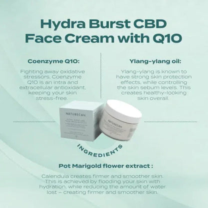 Hydra Burst CBD Face Cream with Q10